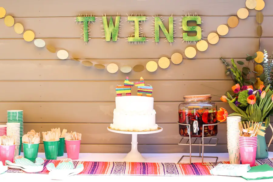 Twin Baby Shower Ideas: Party For Two Made Easy