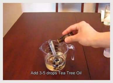 tea-tree-oil-3