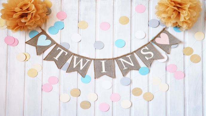 Twin Baby Shower Ideas: The Ultimate Guide