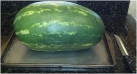 Place-watermelon-on-a-baking-pan